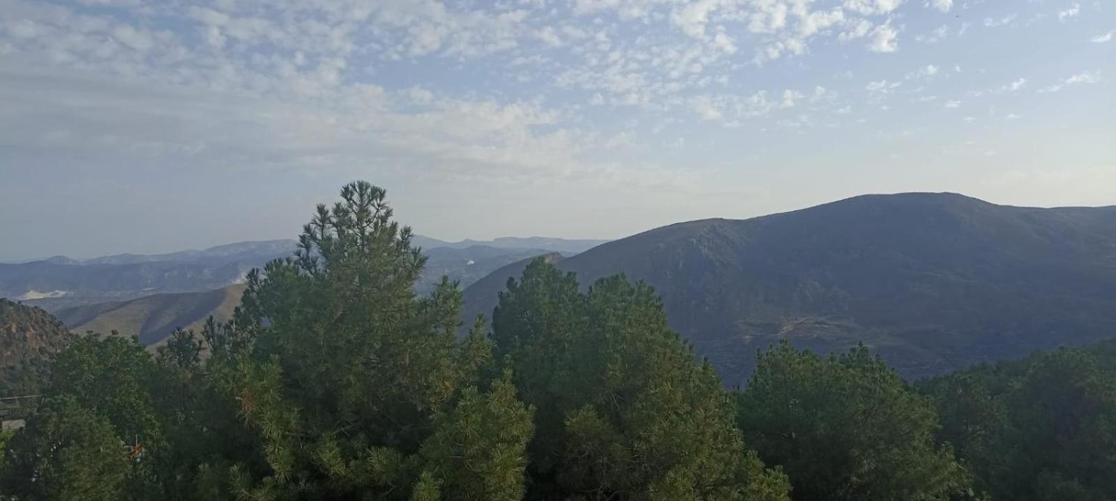 Hostal El Desvio Sierra Nevada Kültér fotó