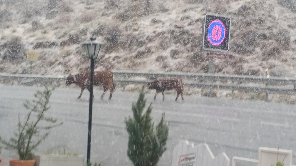Hostal El Desvio Sierra Nevada Kültér fotó